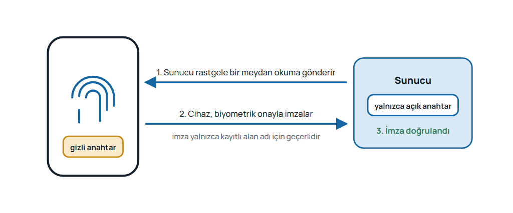 Passkey ile girişte gizli anahtarın kullanıcının cihazında kaldığını, sunucunun rastgele meydan okumayı yalnızca açık anahtarla doğruladığını gösteren akış şeması.